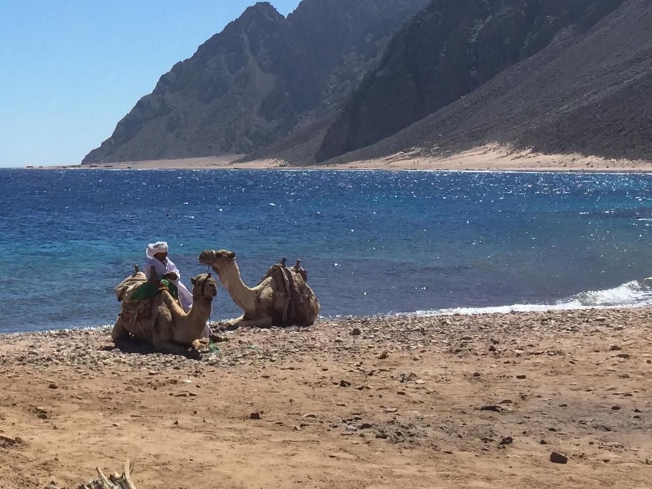 Inmo Divers Home Dahab Eksteriør bilde